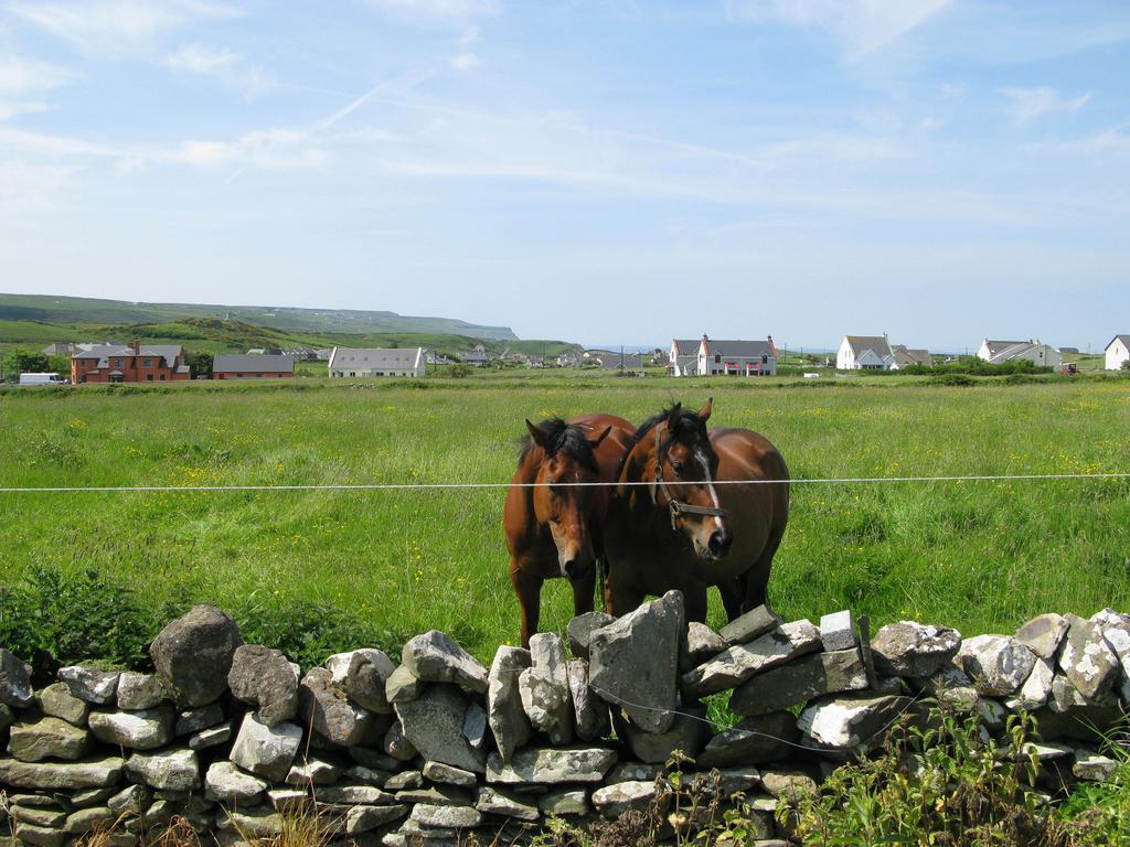 Bed and Breakfast Nellie Dee'S Doolin Zewnętrze zdjęcie